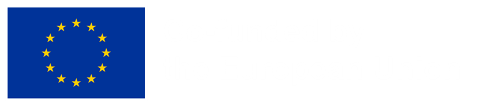 EU Logo